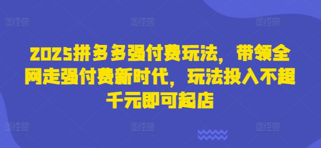 2025拼多多强付费玩法,带领全网走强付费新时代,玩法投入不超千元即可起店-轻创终点站